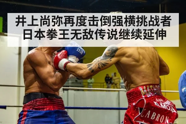 井上尚弥再度击倒强横挑战者 日本拳王无敌传说继续延伸